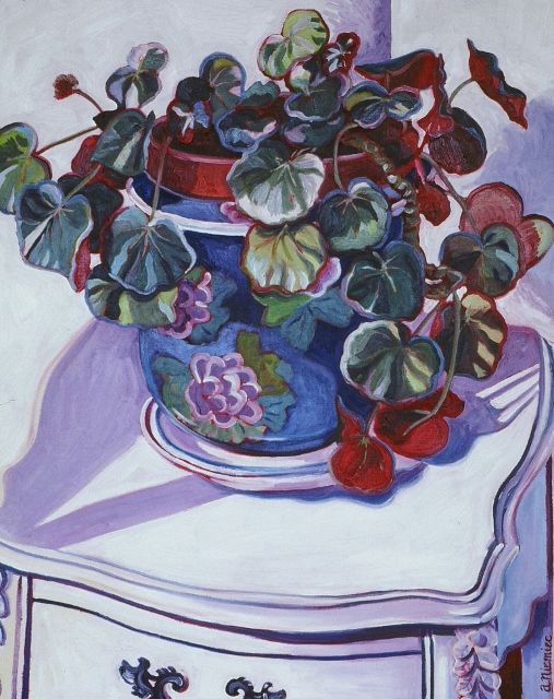 Begonia on White Table Oil